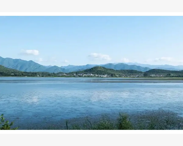 B2B出口货物通关流程与关键注意事项