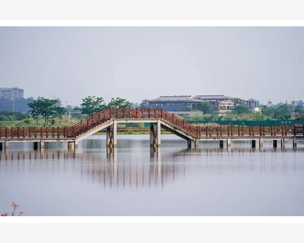 保护脾胃，营养餐助你一臂之力
